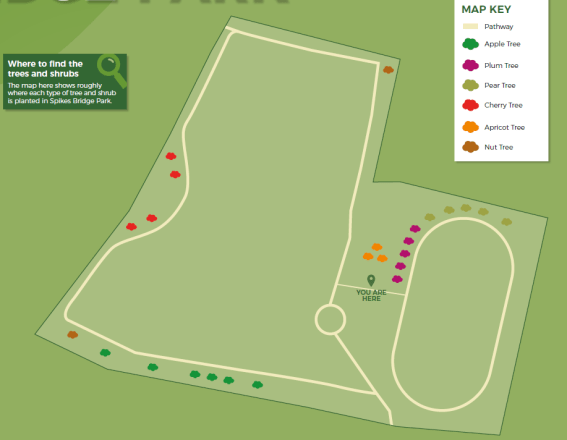 Spikes Bridge Orchard Tree Map